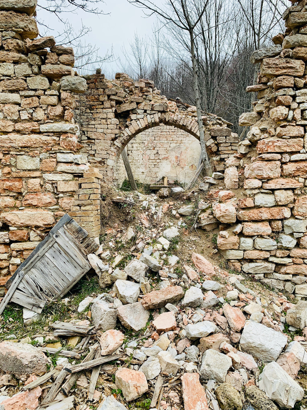 gallery-image