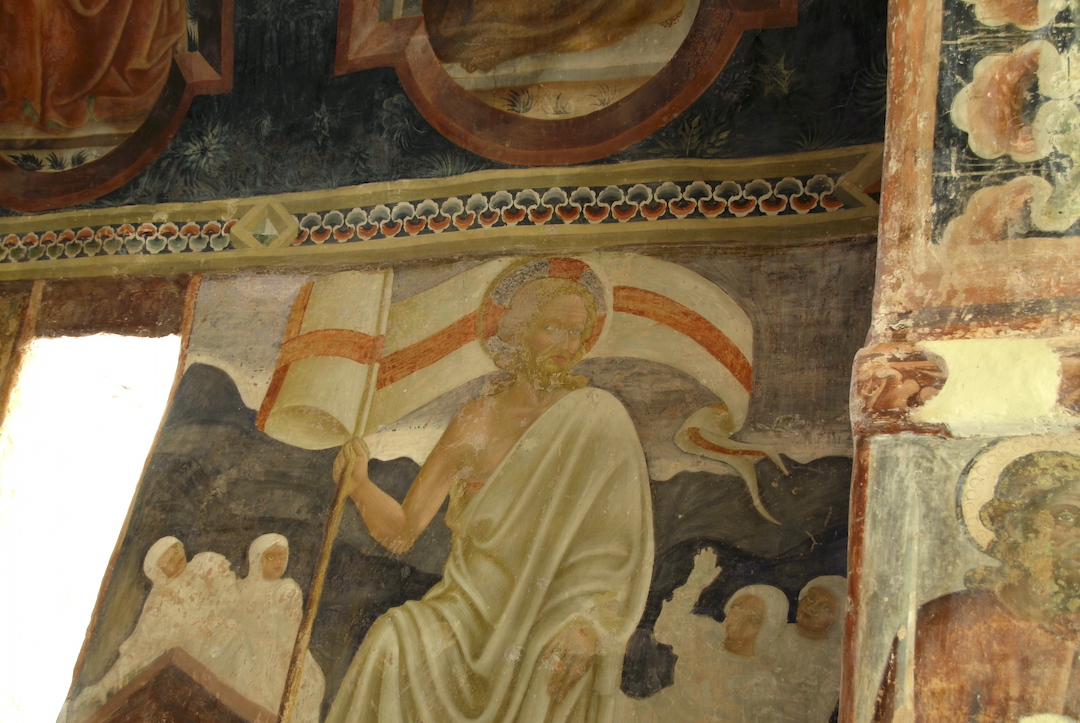 gallery-image