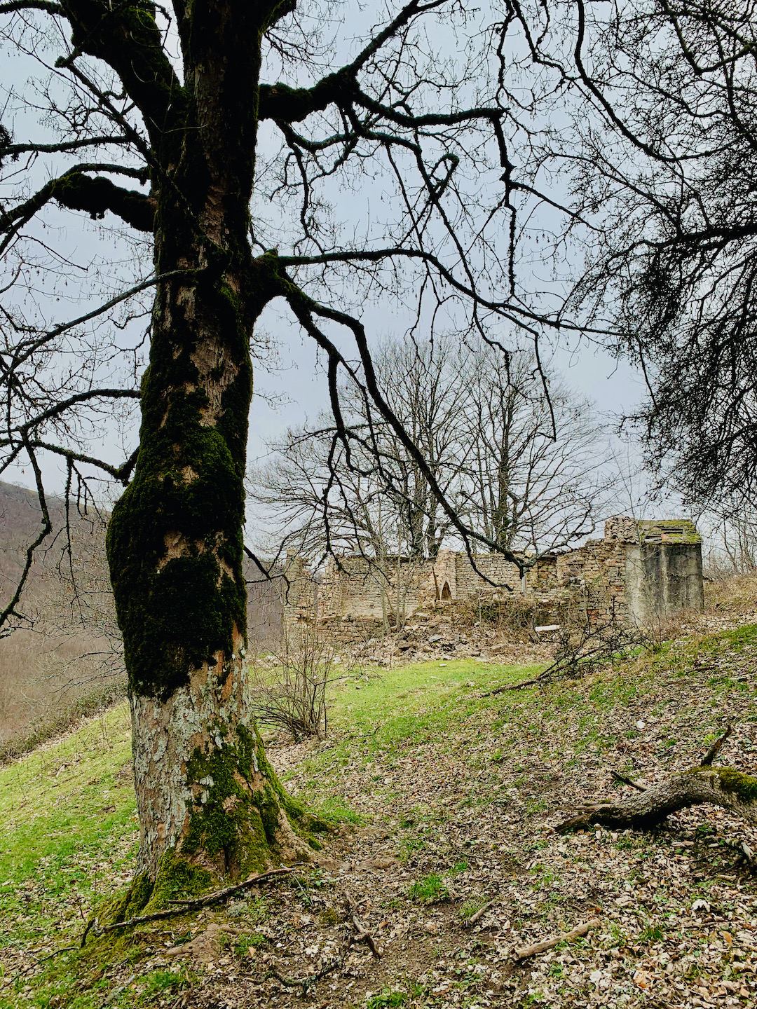 gallery-image