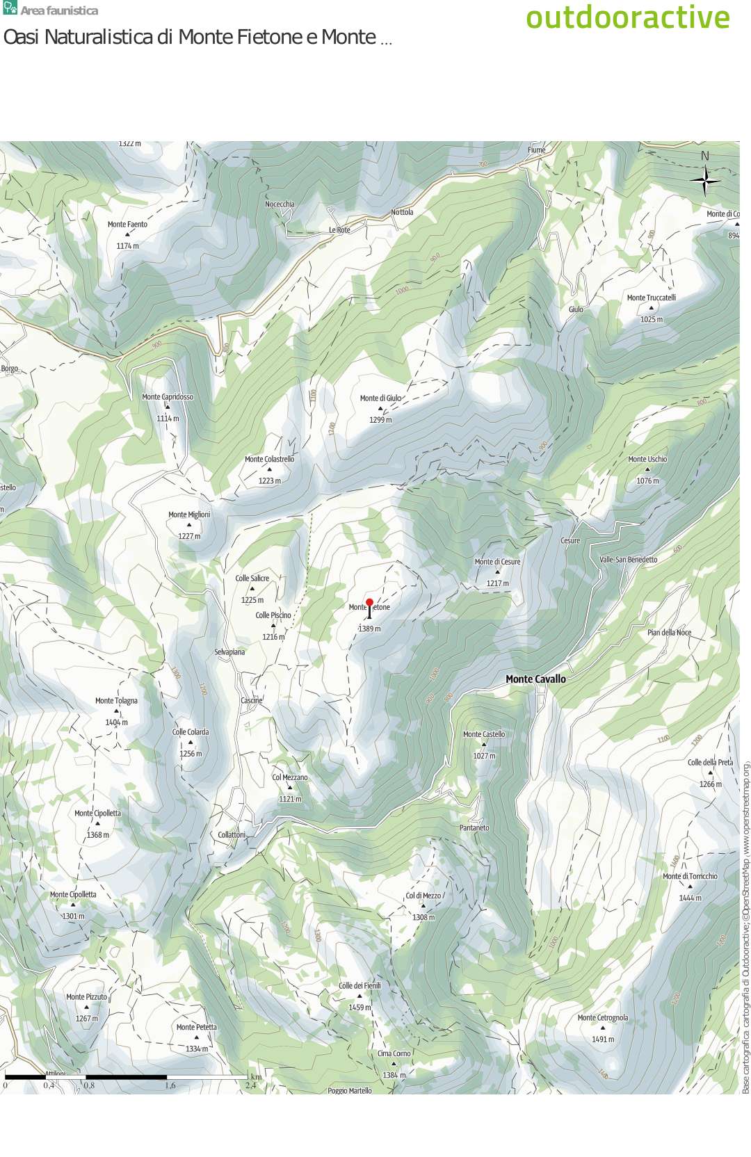 zoom-image